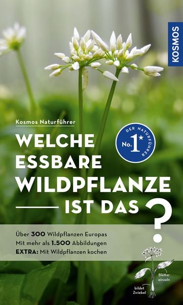 Welche essbare Wildpflanze ist das?