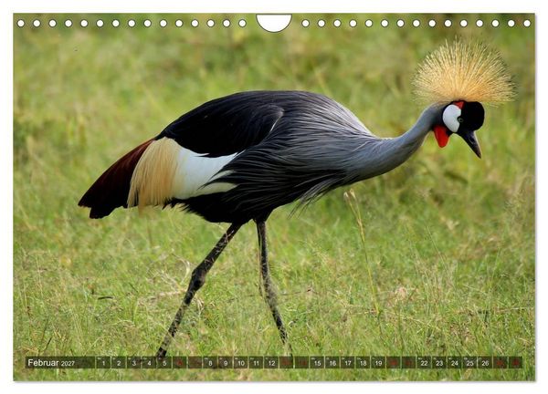 Produktbild: Afrika - Zauber der Wildnis (Wandkalender 2027 DIN A4 quer), CALVENDO Monatskalender
