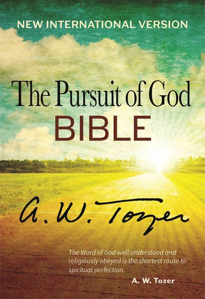 Produktbild: Pursuit of God Bible-NIV