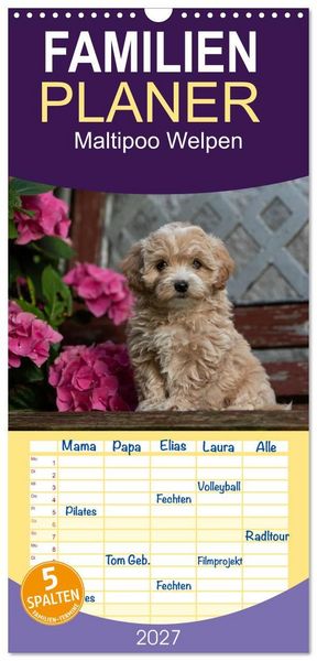 Produktbild: Familienplaner 2027 - Maltipoo Welpen mit 5 Spalten (Wandkalender, 21 x 45 cm) CALVENDO