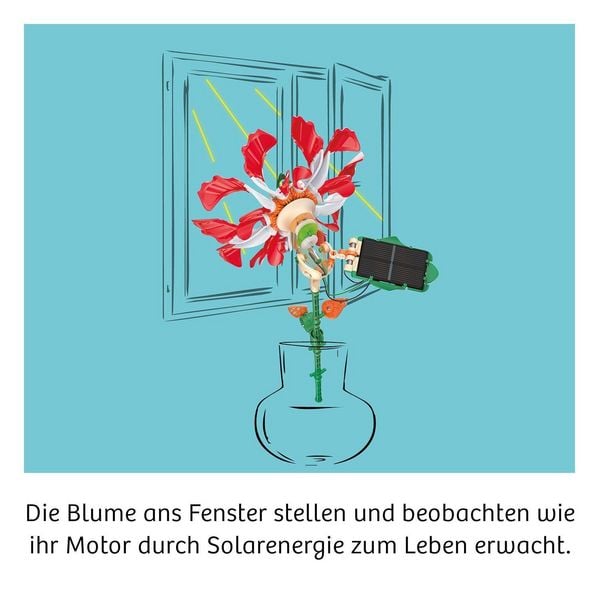 Produktbild: Solar-Flower