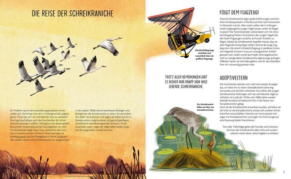 Produktbild: Zur&uuml;ck in die Wildnis