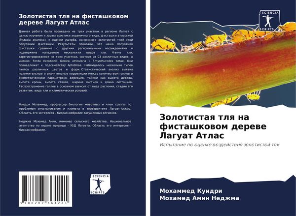 Produktbild: Zolotistaq tlq na fistashkowom derewe Laguat Atlas