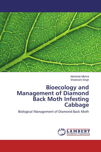 Produktbild: Bioecology and Management of Diamond Back Moth Infesting Cabbage