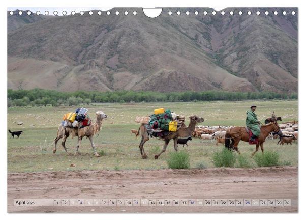 Produktbild: Pferde und Reiter der Mongolei (Wandkalender 2026 DIN A4 quer), CALVENDO Monatskalender