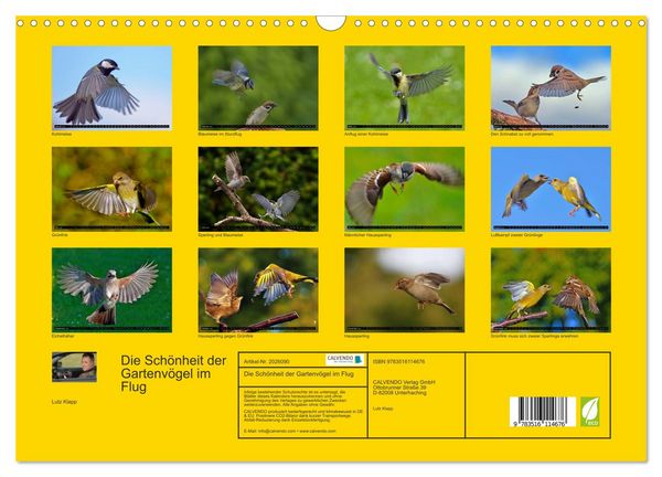 Produktbild: Die Sch&ouml;nheit der Gartenv&ouml;gel im Flug (Wandkalender 2026 DIN A3 quer), CALVENDO Monatskalender