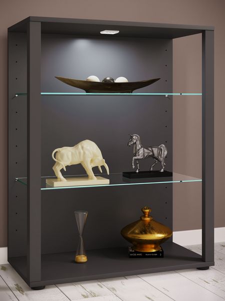 Produktbild: Holz Glas Stand Vitrine Sammelvitrine Glasol L