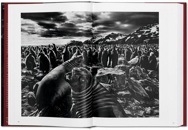 Produktbild: Sebasti&atilde;o Salgado. Genesis