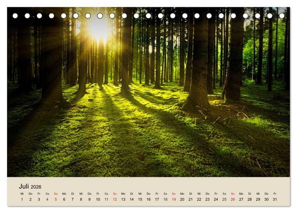 Produktbild: Der Wald. Durch zauberhafte Waldlandschaften (Tischkalender 2026 DIN A5 quer), CALVENDO Monatskalender