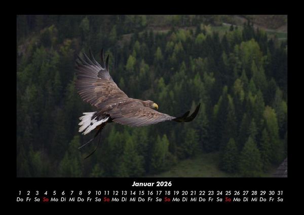 Produktbild: Adler 2026 Fotokalender DIN A3