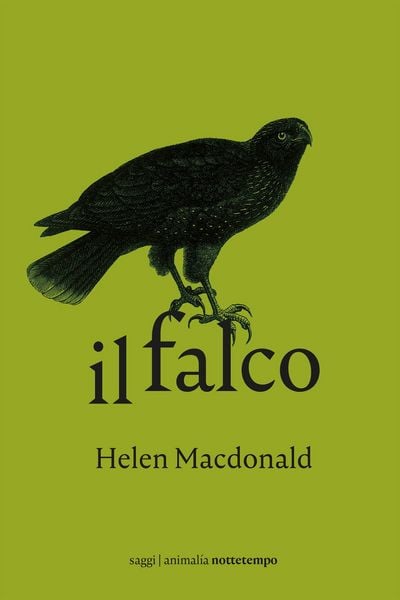 Produktbild: Il falco