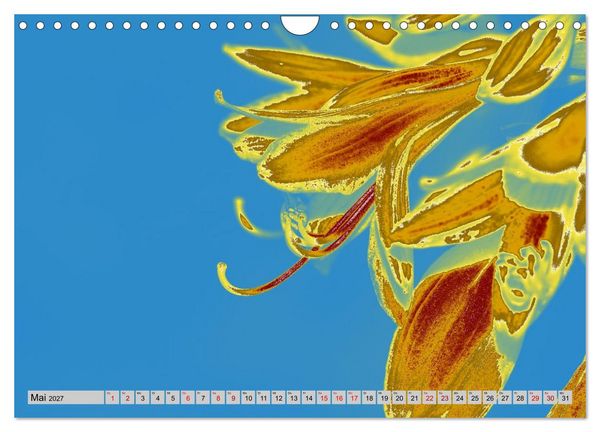 Produktbild: Blumen Pop-Art (Wandkalender 2027 DIN A4 quer), CALVENDO Monatskalender