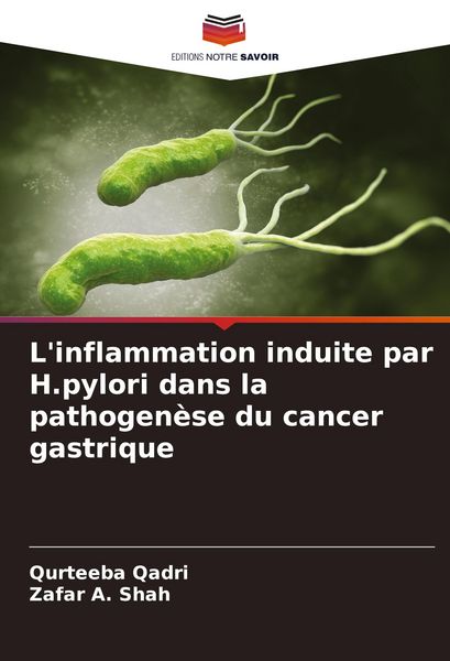 Produktbild: L'inflammation induite par H.pylori dans la pathogen&egrave;se du cancer gastrique