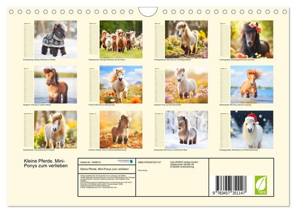 Produktbild: Kleine Pferde. Mini-Ponys zum verlieben (Wandkalender 2026 DIN A4 quer), CALVENDO Monatskalender