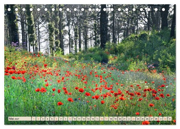 Produktbild: Magic Moments - LA PALMA (Tischkalender 2027 DIN A5 quer), CALVENDO Monatskalender