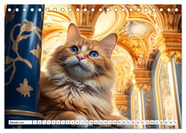 Produktbild: Das Jahr der Samtpfoten (Tischkalender 2026 DIN A5 quer), CALVENDO Monatskalender