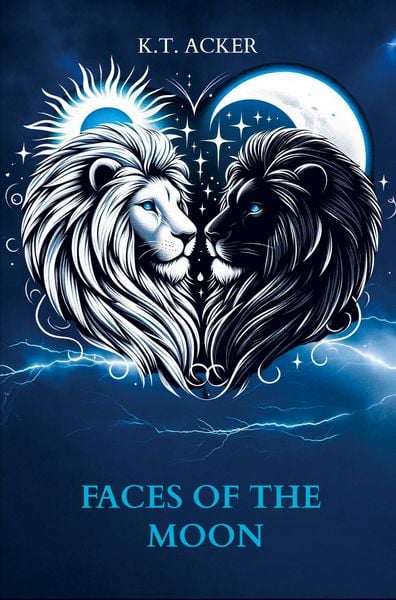 Produktbild: Faces of the Moon