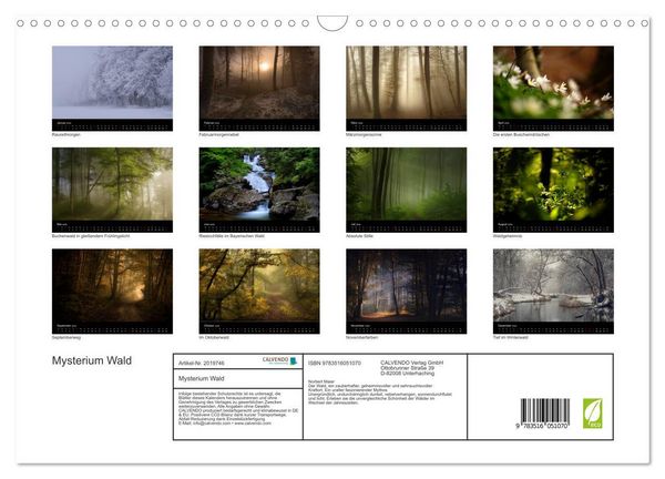 Produktbild: Mysterium Wald (Wandkalender 2026 DIN A3 quer), CALVENDO Monatskalender