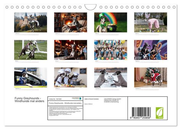 Produktbild: Funny Greyhounds - Windhunde mal anders (Wandkalender 2026 DIN A4 quer), CALVENDO Monatskalender