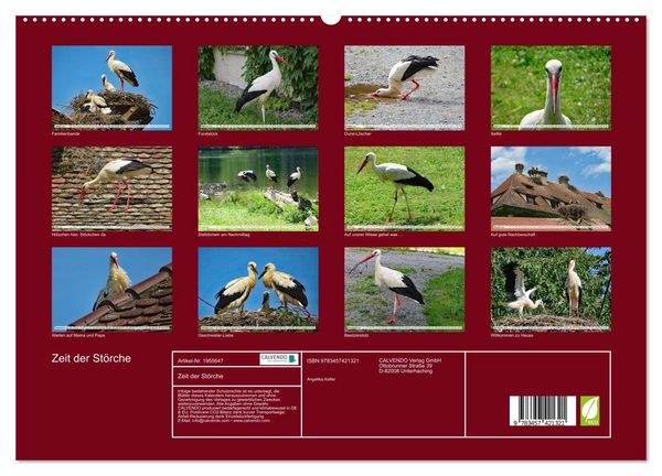 Produktbild: Zeit der St&ouml;rche (hochwertiger Premium Wandkalender 2026 DIN A2 quer), Kunstdruck in Hochglanz