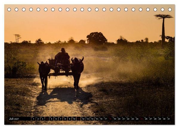 Produktbild: Madagaskar - Impressionen von Rolf Dietz (Tischkalender 2027 DIN A5 quer), CALVENDO Monatskalender