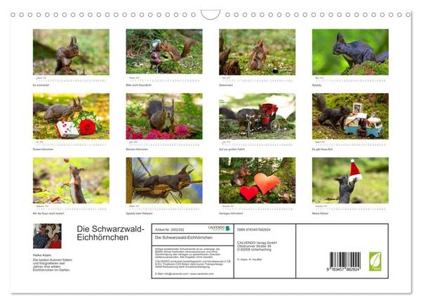 Produktbild: Die Schwarzwald-Eichh&ouml;rnchen (Wandkalender 2026 DIN A3 quer), CALVENDO Monatskalender