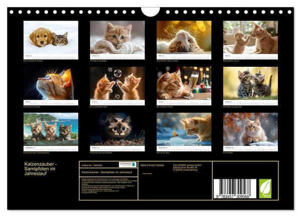 Produktbild: Katzenzauber - Samtpfoten im Jahreslauf (Wandkalender 2026 DIN A4 quer), CALVENDO Monatskalender