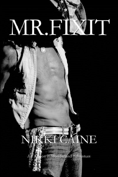 Produktbild: Mr. Fix It! (Allison's Erotic Adventures, #1)