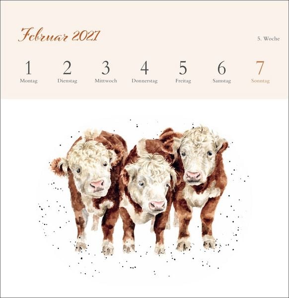 Produktbild: Hannah Dale: Happy Animals Premium-Postkartenkalender 2027