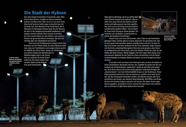 Produktbild: Entdecke die Hy&auml;nen