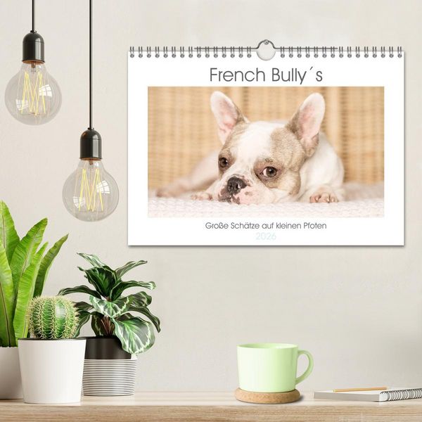 Produktbild: French Bully&acute;s - Gro&szlig;e Sch&auml;tze auf kleinen Pfoten (Wandkalender 2026 DIN A4 quer), CALVENDO Monatskalender