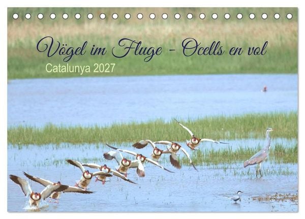 Produktbild: V&ouml;gel im Fluge - Ocells en vol (Tischkalender 2027 DIN A5 quer), CALVENDO Monatskalender