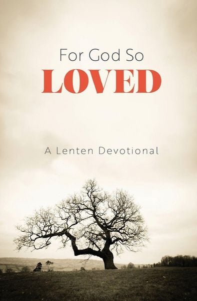 Produktbild: For God So Loved
