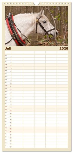 Produktbild: Familienplaner 2026 - Kaltblut - schwere Pferde mit Herz mit 5 Spalten (Wandkalender, 21 x 45 cm) CALVENDO