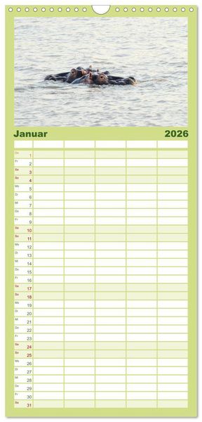 Produktbild: Familienplaner 2026 - Nilpferde, Kolosse im Wasser mit 5 Spalten (Wandkalender, 21 x 45 cm) CALVENDO