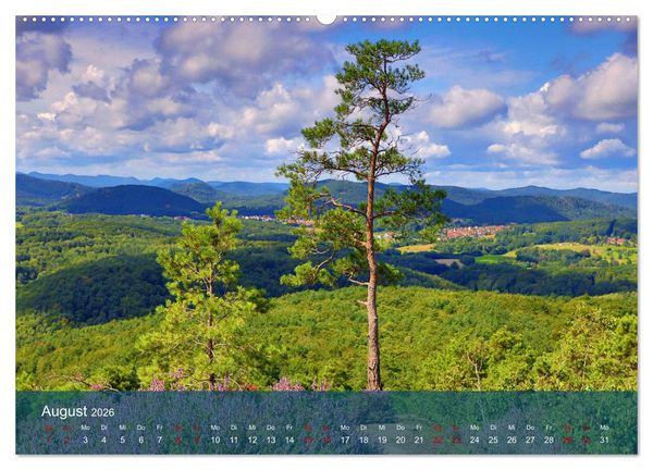 Produktbild: Wanderparadies S&uuml;dpfalz (hochwertiger Premium Wandkalender 2026 DIN A2 quer), Kunstdruck in Hochglanz