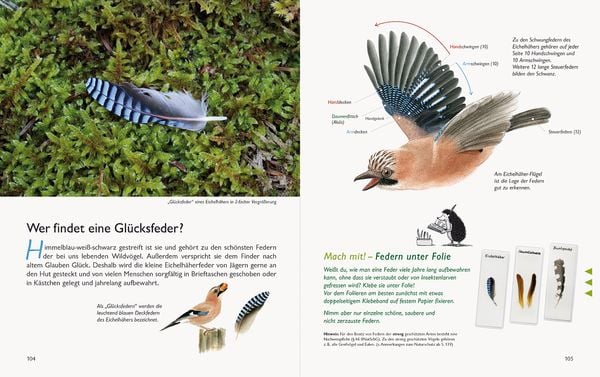 Produktbild: Wawra's Naturbuch &ndash; Unserer Natur auf der Spur, Bd. 1: S&auml;ugetiere, V&ouml;gel, Reptilien, Amphibien