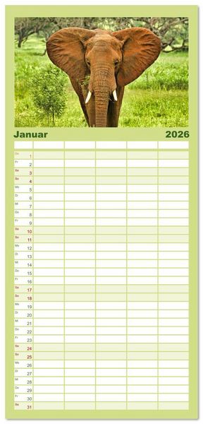 Produktbild: Familienplaner 2026 - Elefanten Begegnungen im &ouml;stlichen und s&uuml;dlichen Afrika mit 5 Spalten (Wandkalender, 21 x 45 cm) CALVENDO