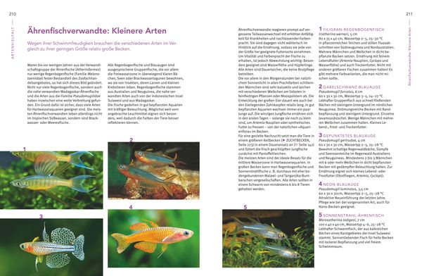 Praxishandbuch Aquarium