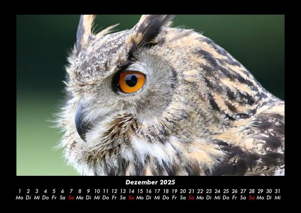 Produktbild: Der Tierkalender 2025 Fotokalender DIN A3