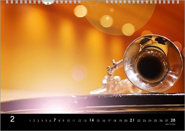 Produktbild: Musikinstrumente, ein Musik-Kalender 2027, DIN A4