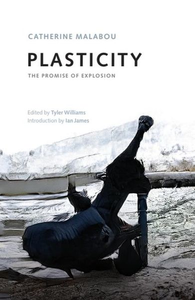 Produktbild: Plasticity