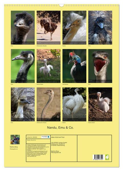 Produktbild: Nandu, Emu & Co. (Wandkalender 2026 DIN A2 hoch), CALVENDO Monatskalender