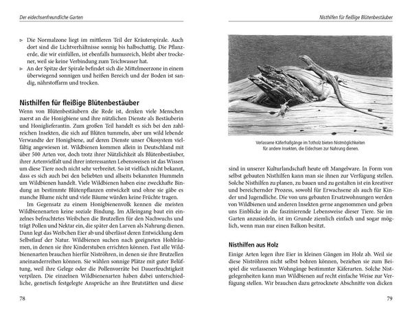 Produktbild: Ein Garten f&uuml;r Eidechsen