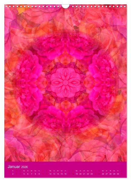 Produktbild: Meditative Pflanzenmandalas (Wandkalender 2026 DIN A3 hoch), CALVENDO Monatskalender