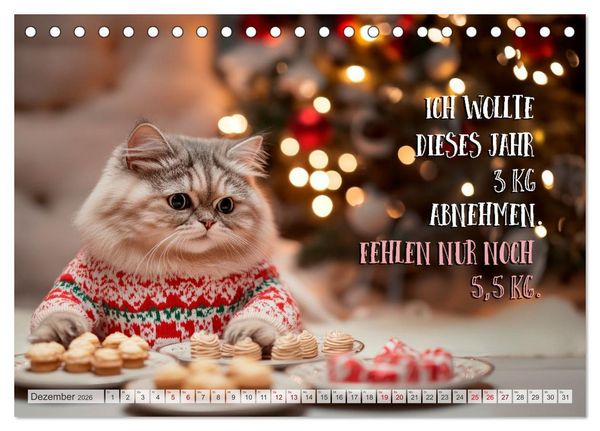 Produktbild: Katzenlogik - Wenn Blicke miauen k&ouml;nnten (Tischkalender 2026 DIN A5 quer), CALVENDO Monatskalender
