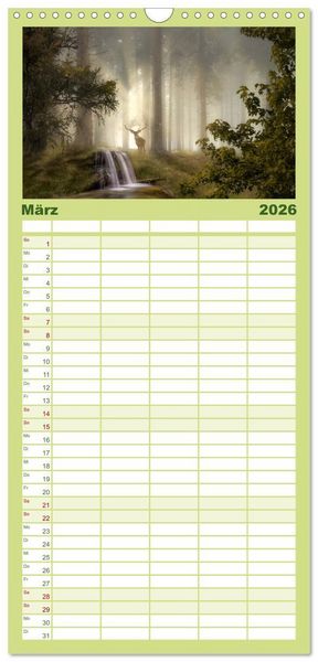 Produktbild: Familienplaner 2026 - Waldgeheimnisse mit 5 Spalten (Wandkalender, 21 x 45 cm) CALVENDO