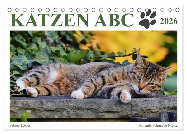 Produktbild: Katzen ABC (Tischkalender 2026 DIN A5 quer), CALVENDO Monatskalender