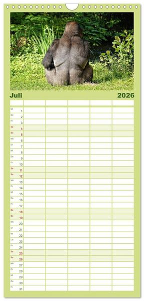 Produktbild: Familienplaner 2026 - Gorillas - Die sanften Wilden mit 5 Spalten (Wandkalender, 21 x 45 cm) CALVENDO