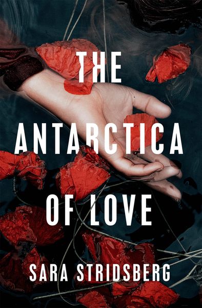 Produktbild: The Antarctica of Love